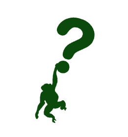Wondering Chimp